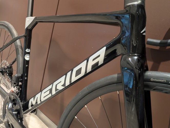 PXL_20251118_044638270