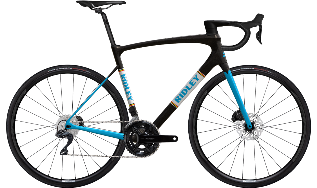 RIDLEY】コスパと走りの一台！FENIX SLIC新宿本館オリジナルのご紹介
