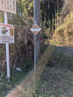 PXL_20251211_050701678