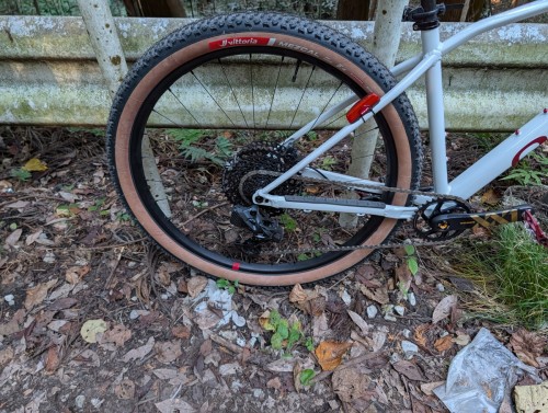 PXL_20251211_052757506