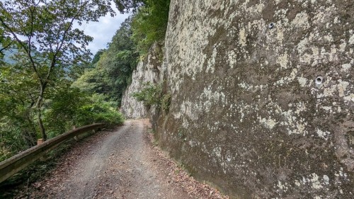 PXL_20230927_045344213