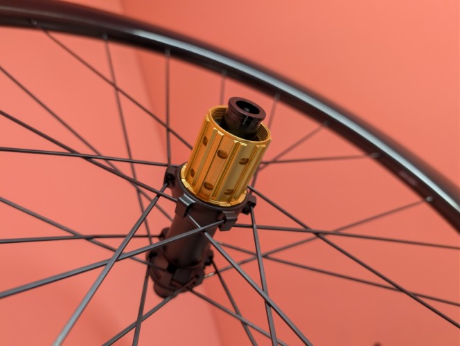 PXL_20260217_045347790