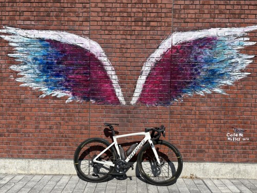 22305432-8665-411E-A185-6BA0D339E050