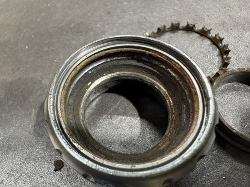IMG_5498