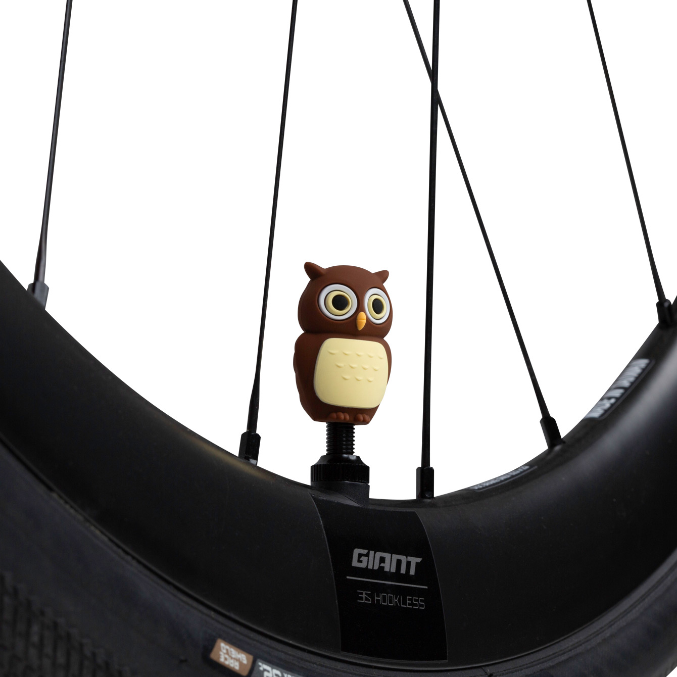 charactervalvecap-color-owl-2