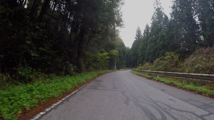 メディア プレーヤー 2025_05_01 木曜日 1_48_21