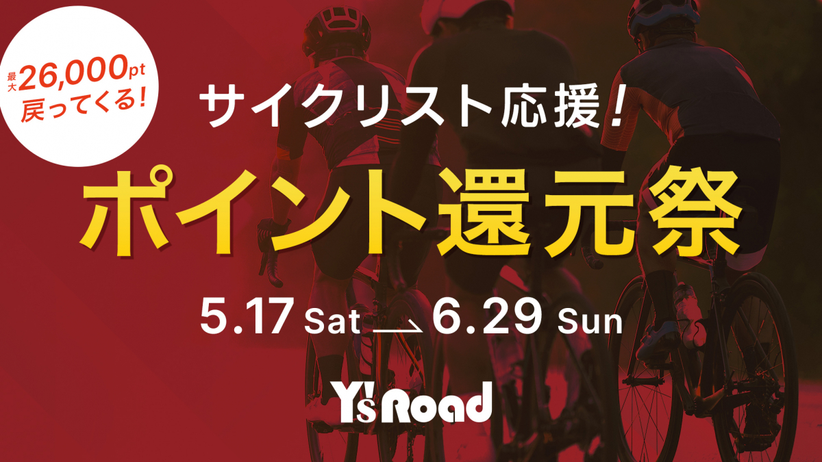 img_ds-h_hansoku2505