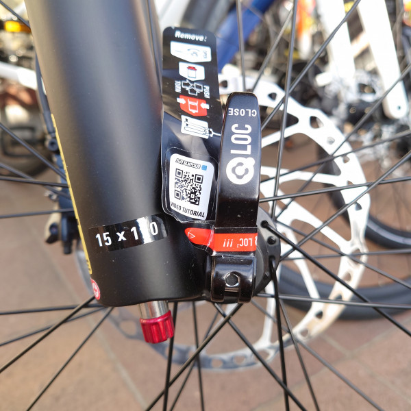 dsc_1149-e1743927817689