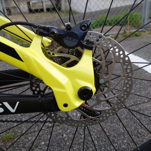 dsc_1150-e1743927883427