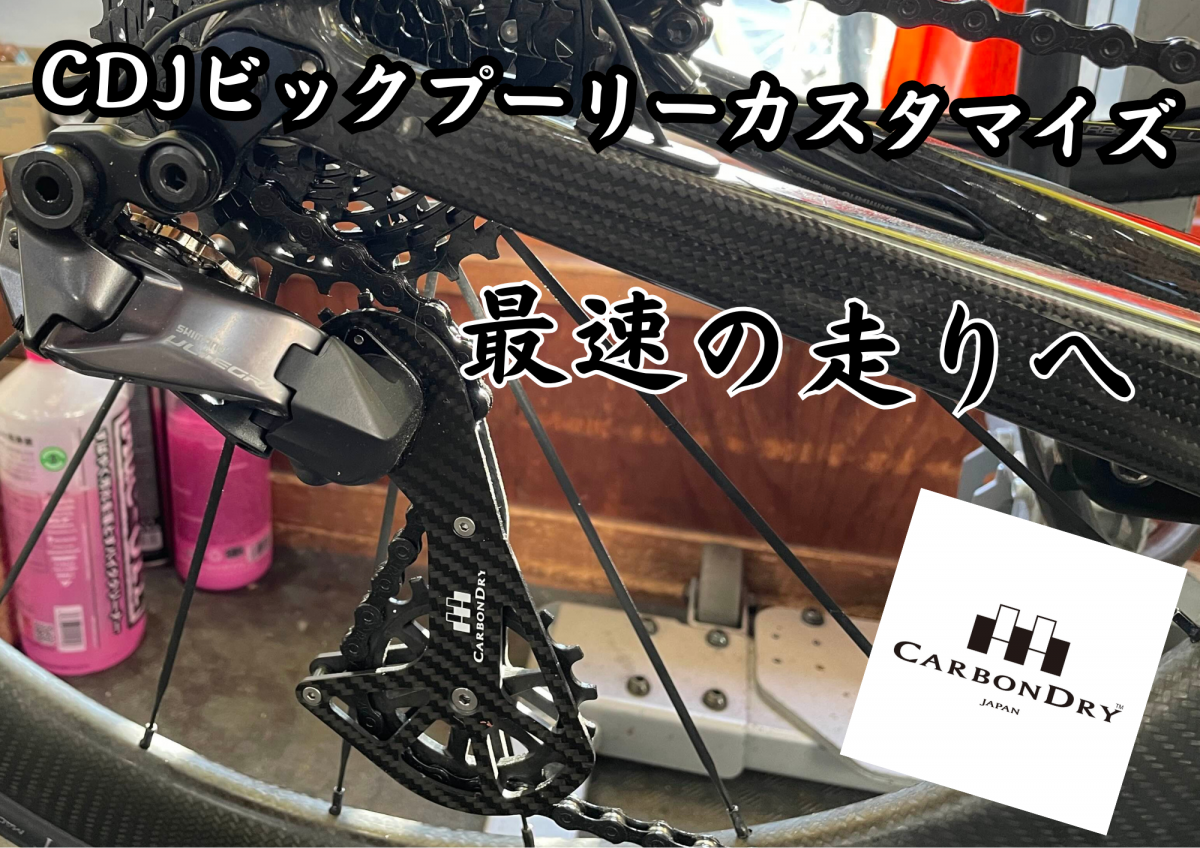 CDJビックプリーカスタマイズ (1)