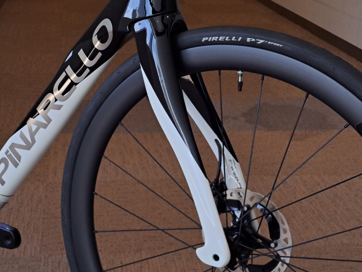 SALE】美しさとパフォーマンスを兼ね備えたDOGMA直系のセカンド